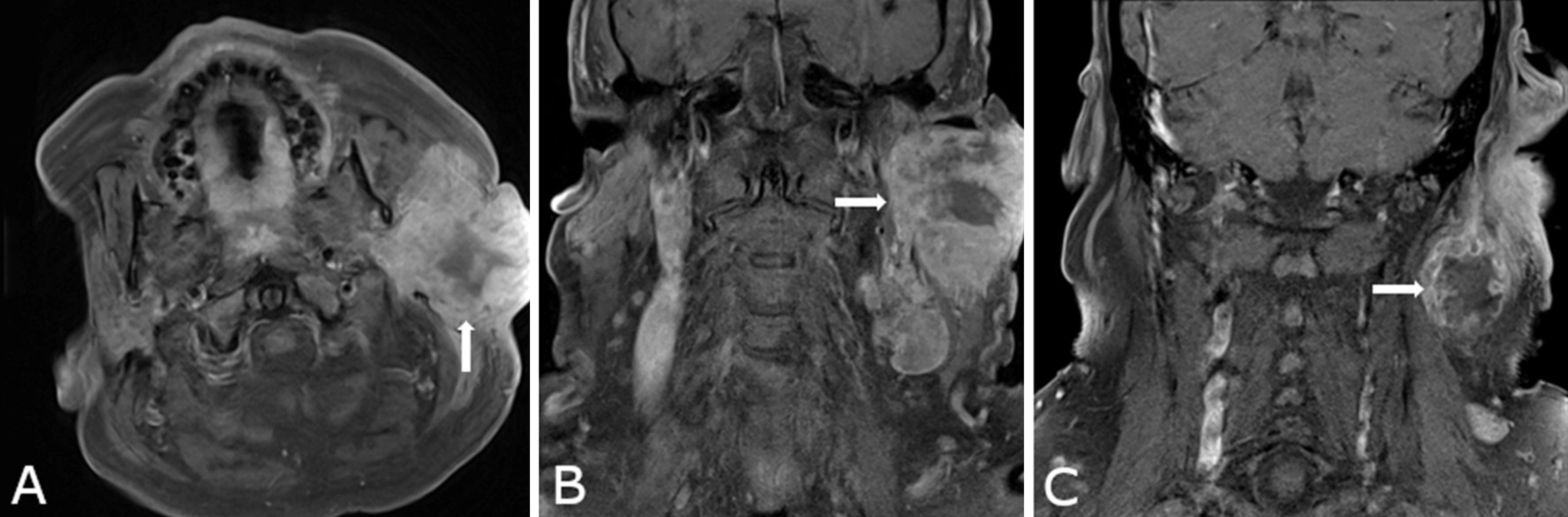 Figure 1.jpg